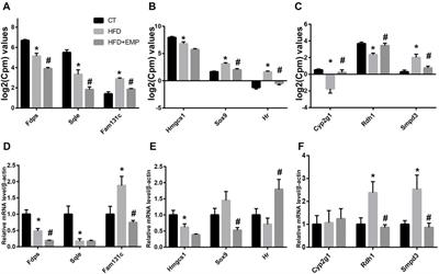 Transcriptomic Analysis Reveals the Protective Effects of Empagliflozin on Lipid Metabolism in Nonalcoholic Fatty Liver Disease